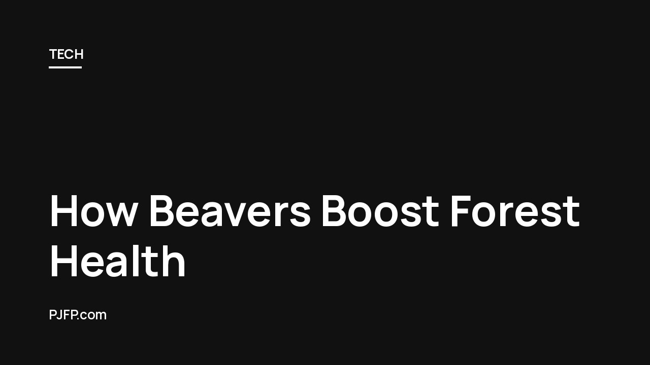 How Beavers Boost Forest Health: Lessons from Nature’s “Ecosystem Engineers” for Sustainable Forest Management